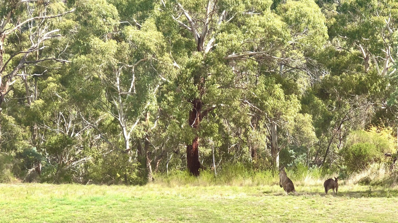 Photo of Others in Daylesford