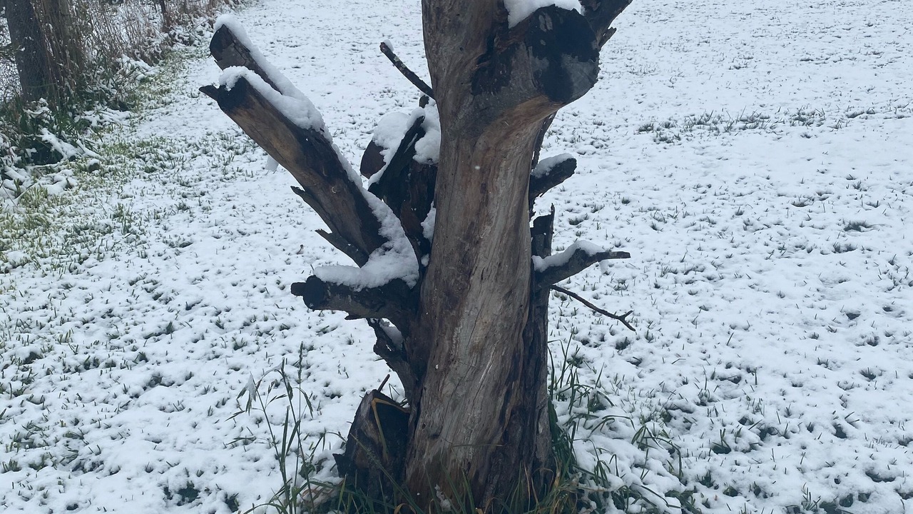 Photo of Others in South Bowenfels