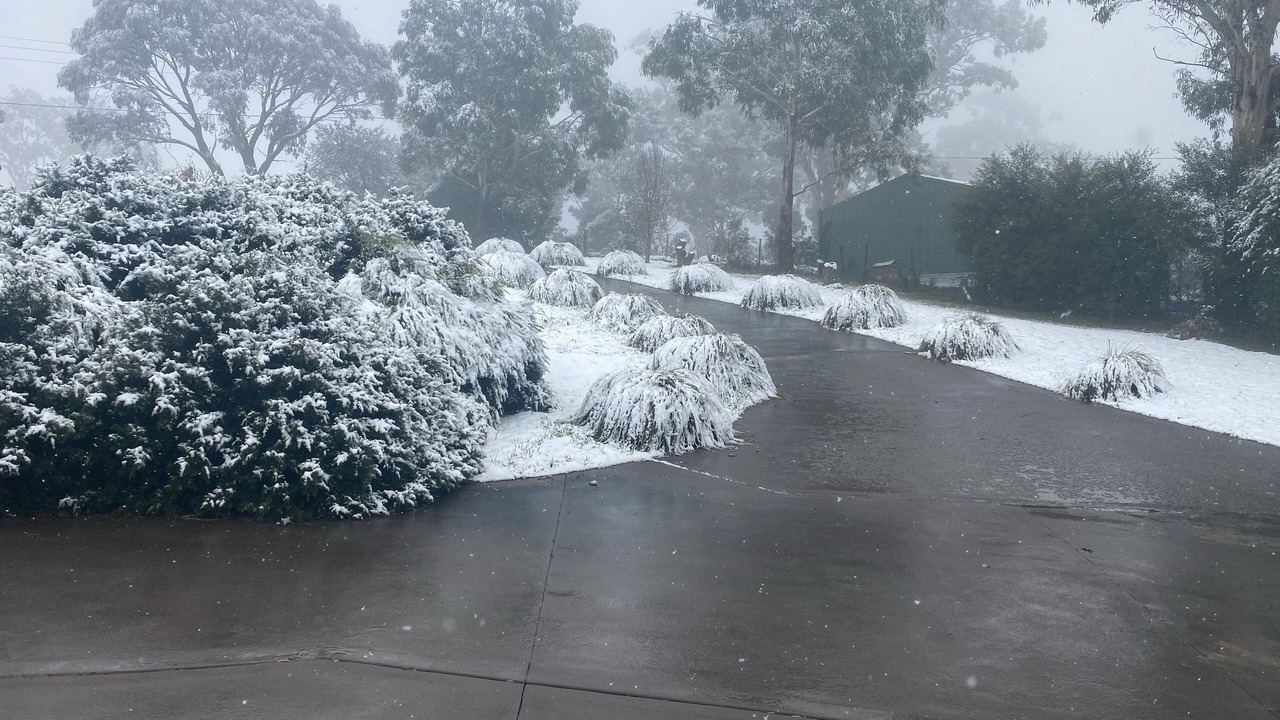 Photo of Others in South Bowenfels