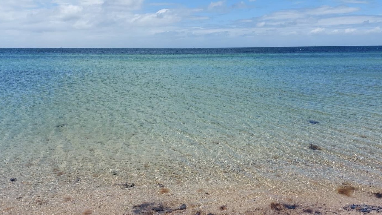 Photo of Others in Indented Head
