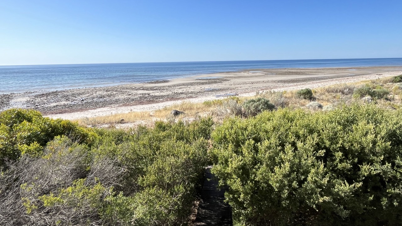 Photo of Others in Normanville