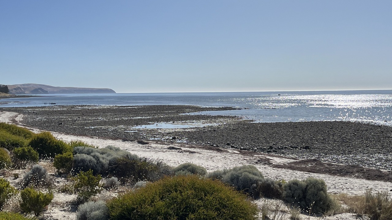 Photo of Others in Normanville