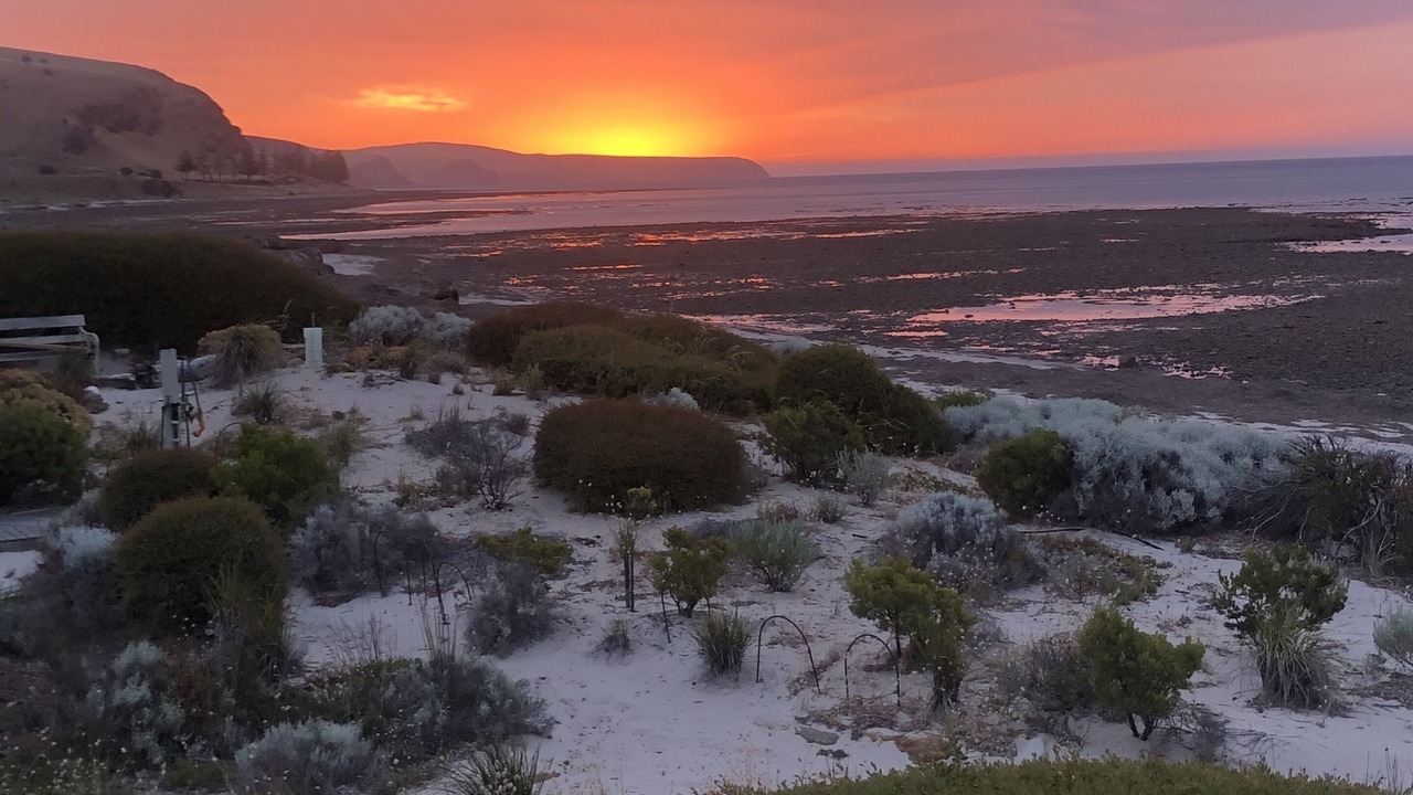 Photo of Others in Normanville