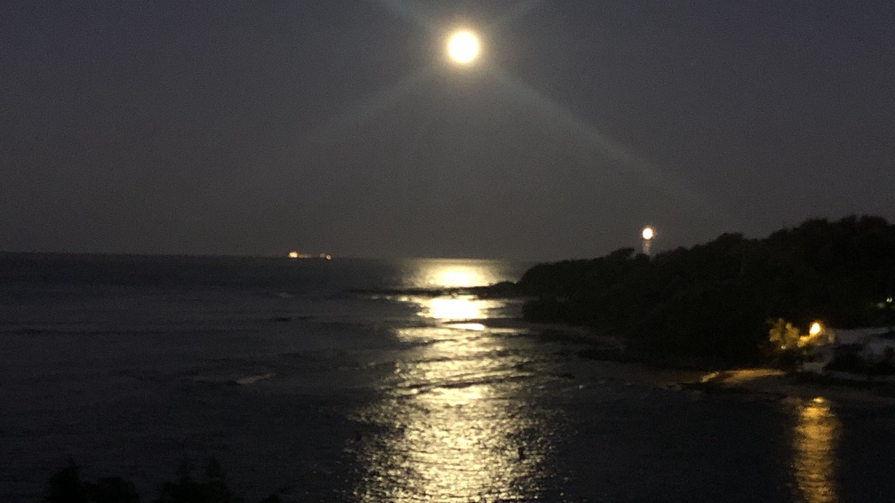 Photo of Others in Norah Head