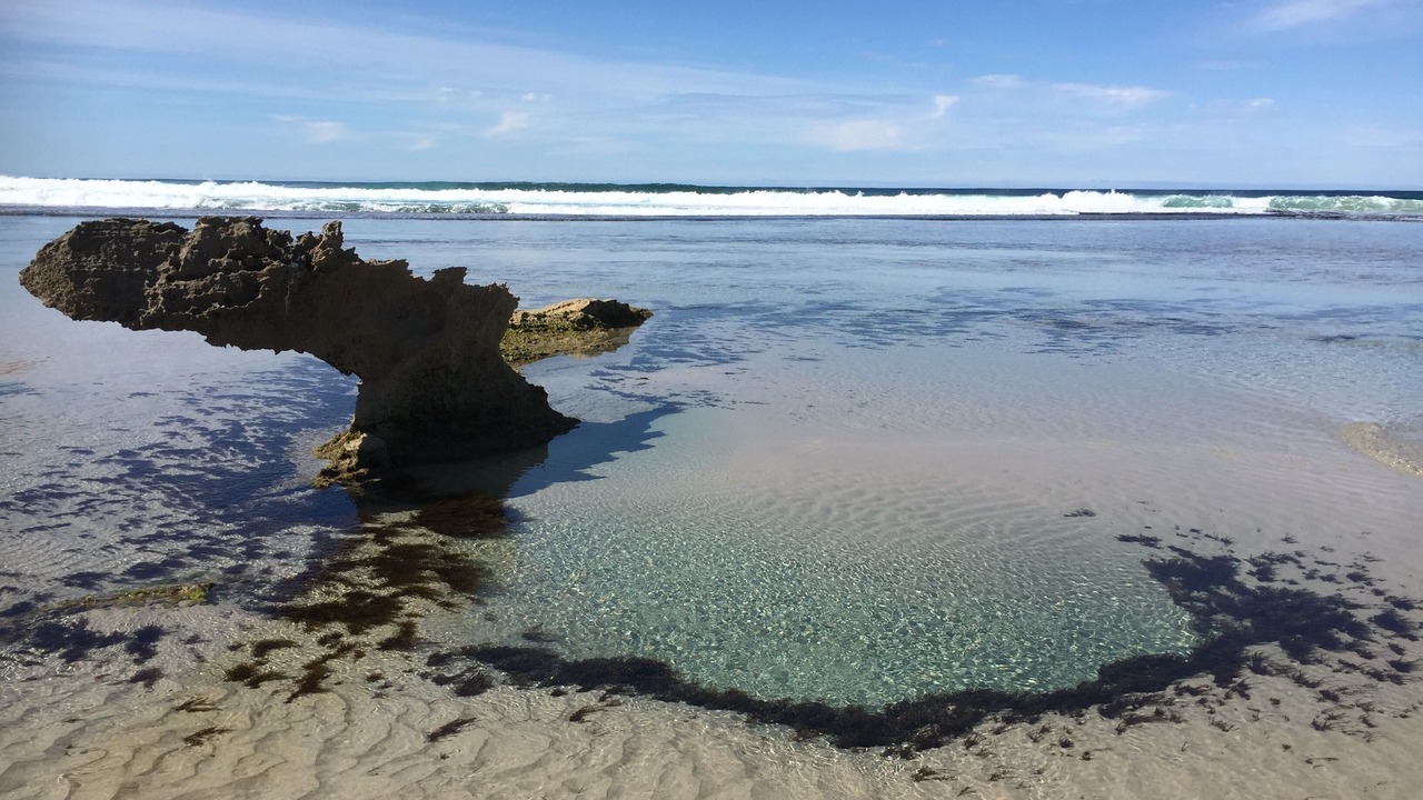 Photo of Others in Ocean Beach