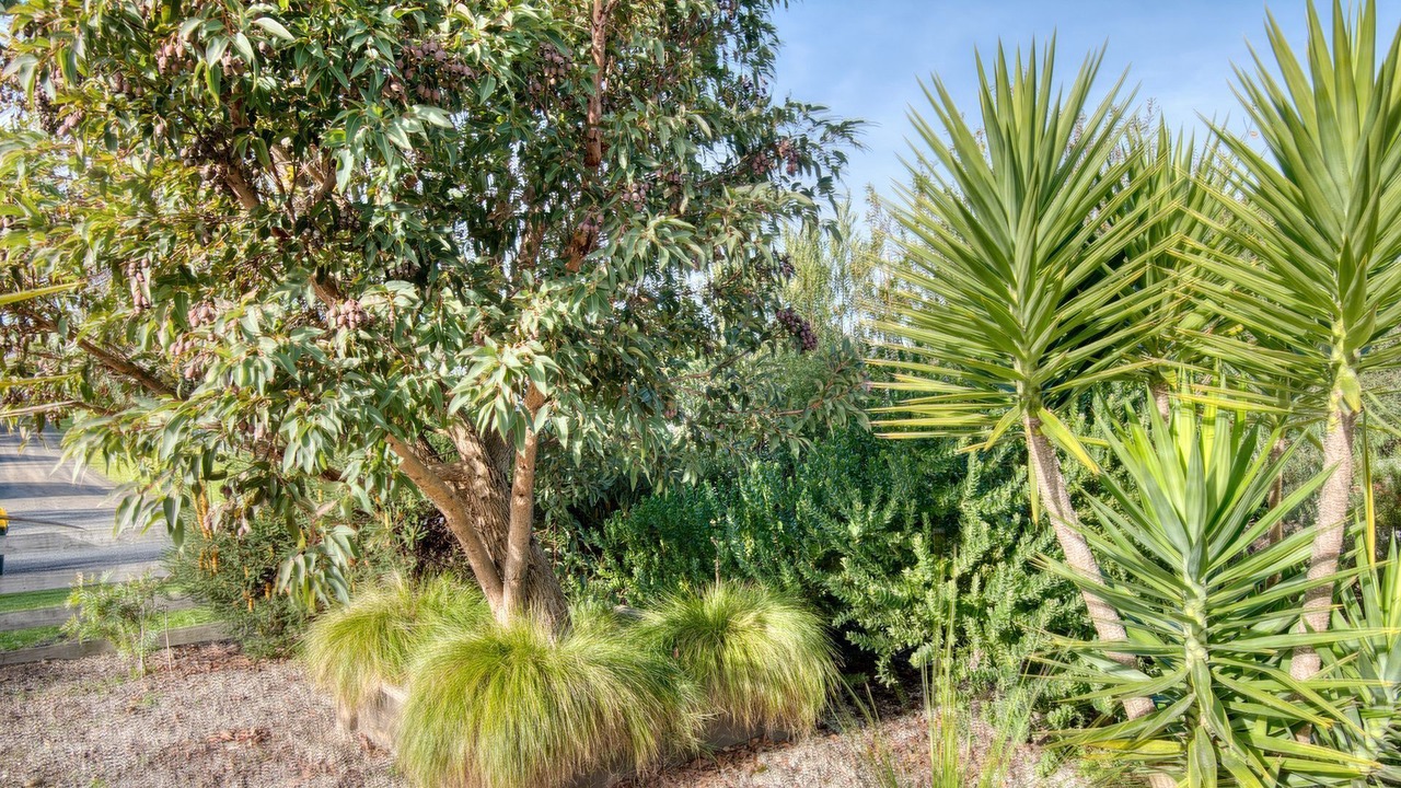 Photo of Outdoor in Venus Bay