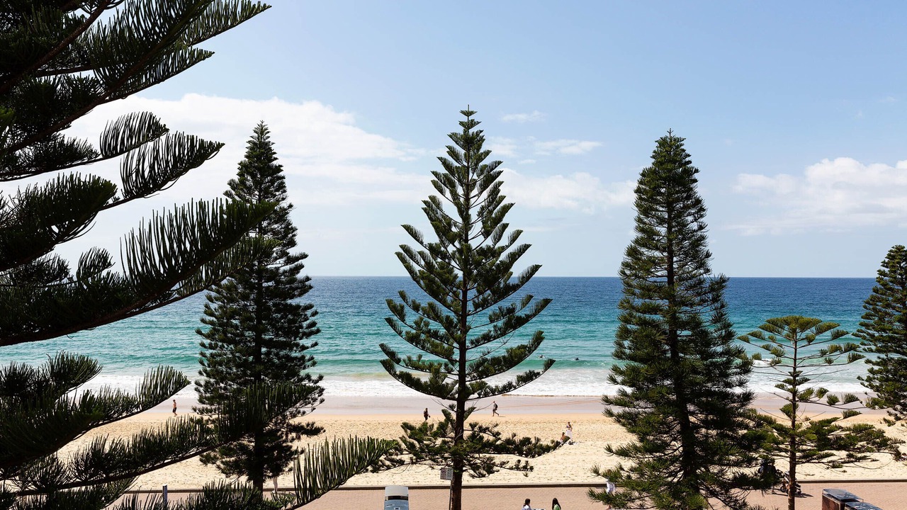Photo of Others in Manly