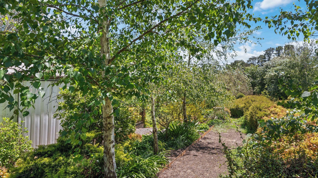 Photo of Outdoor in Nashdale