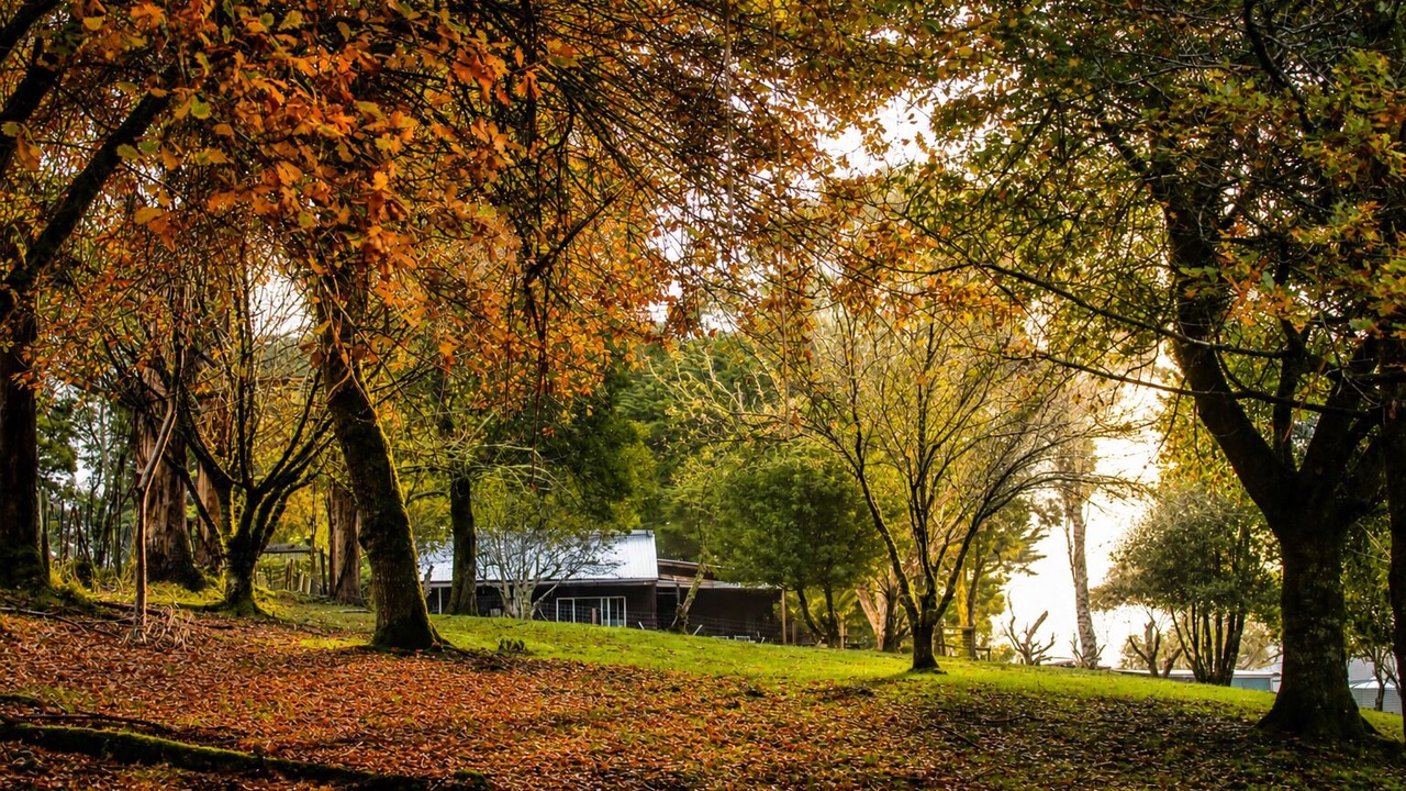 Photo of Outdoor in Barramunga