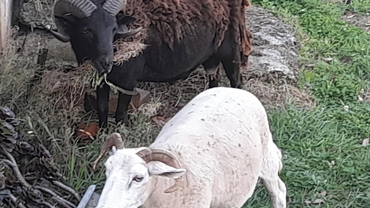 Photo of Others in Rocky Cape