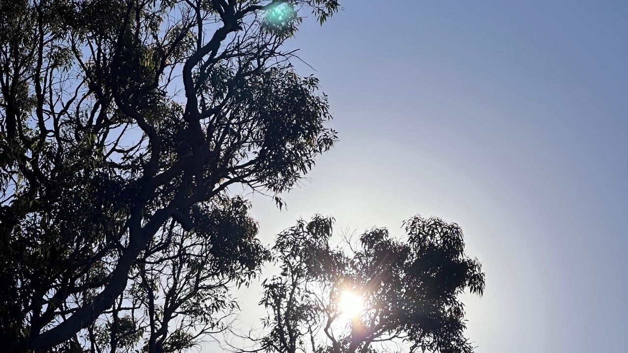Photo of Others in Mallacoota