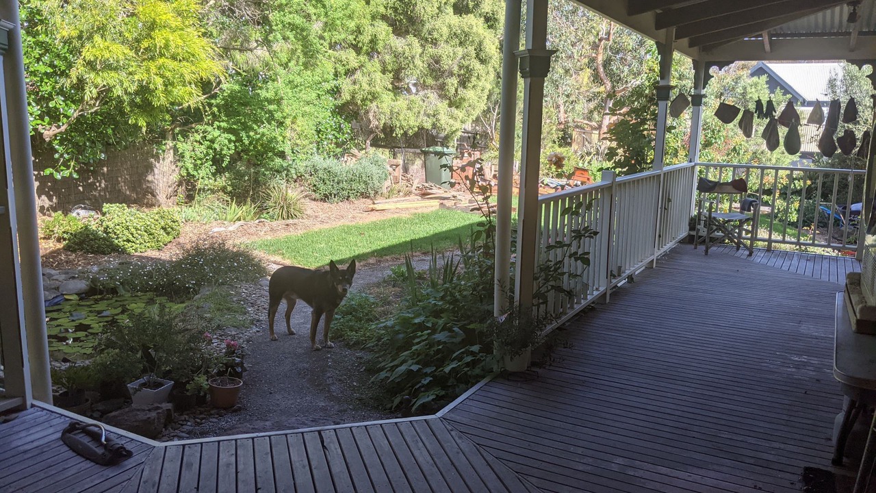 Photo of Patio Balcony in Aireys Inlet