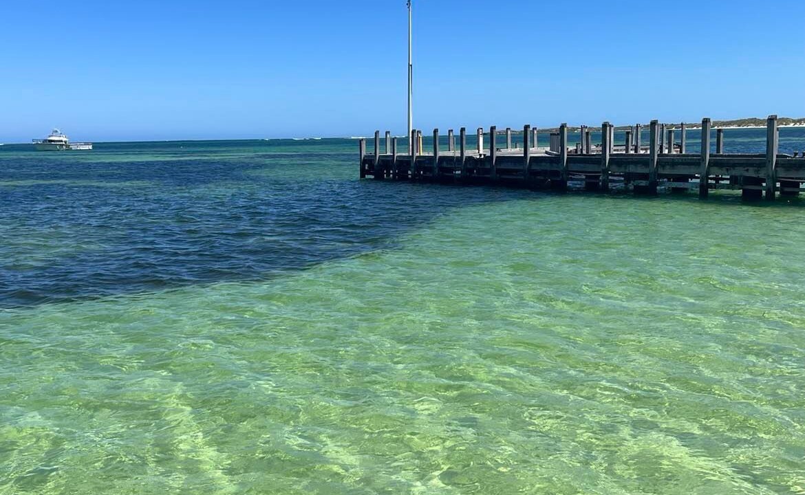 Photo of Others in Green Head