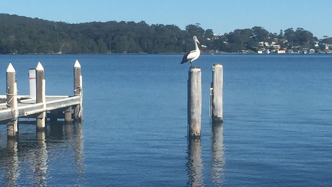 Photo of Outdoor in Cams Wharf