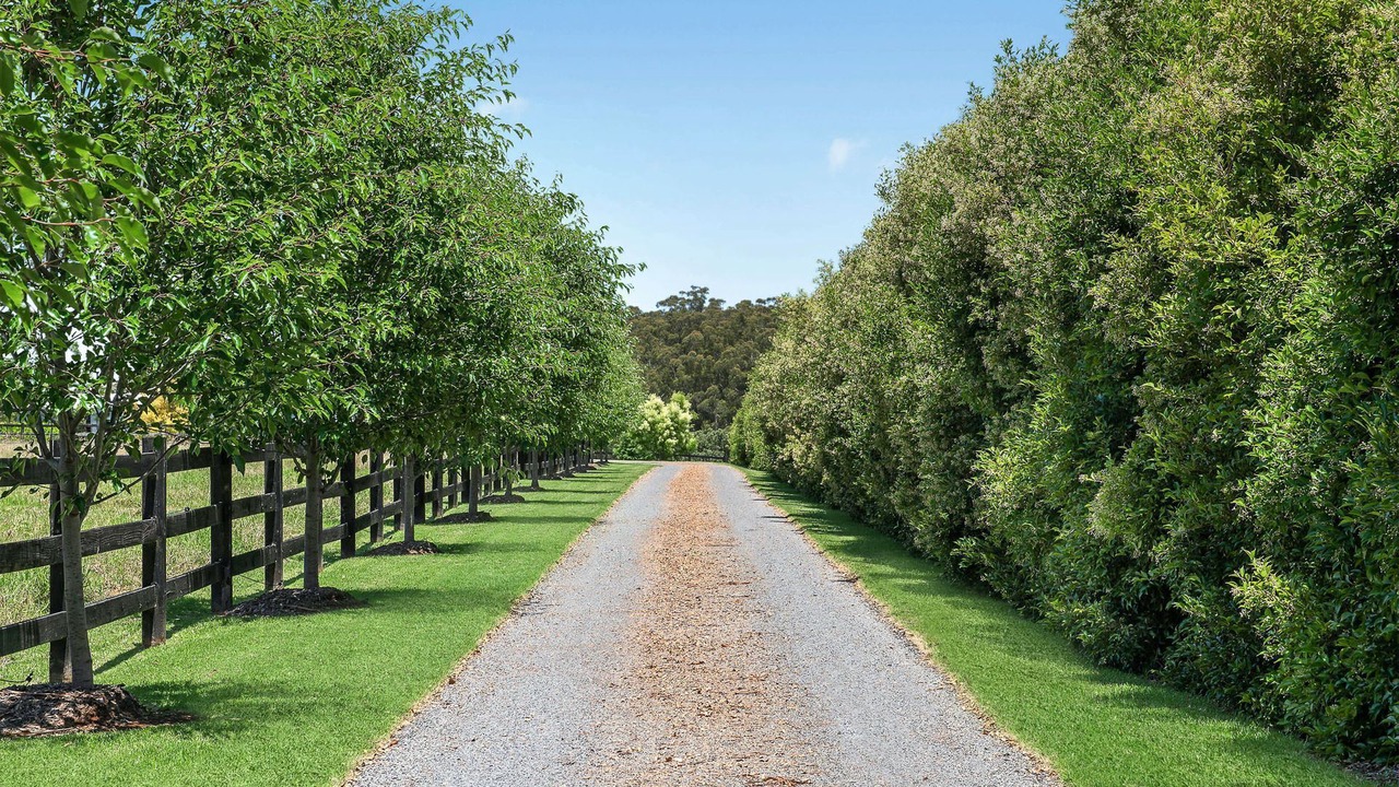 Photo of Outdoor in Berry