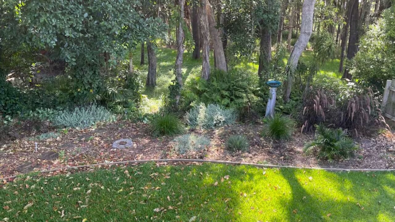 Photo of Outdoor in Port Macquarie