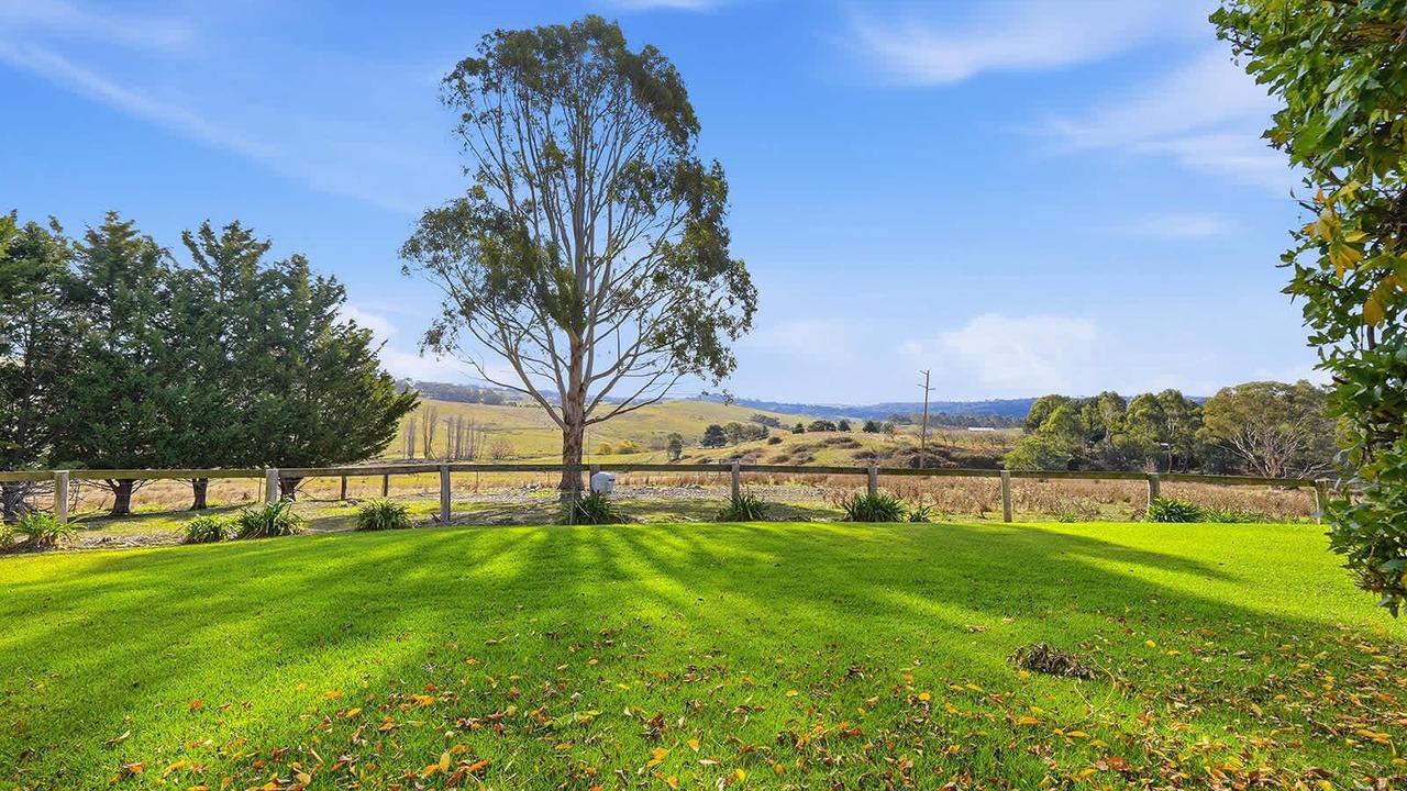 Photo of Outdoor in Orange
