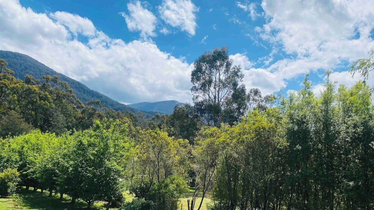 Photo of Outdoor in East Warburton