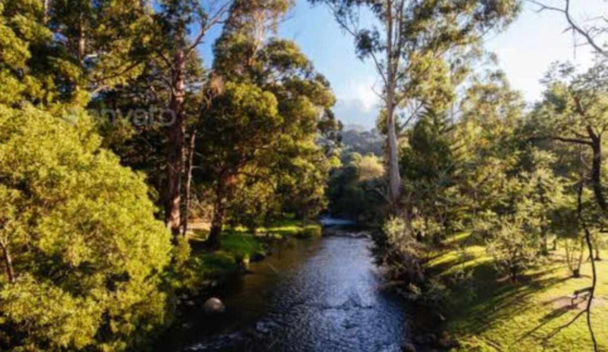 Photo of Others in East Warburton