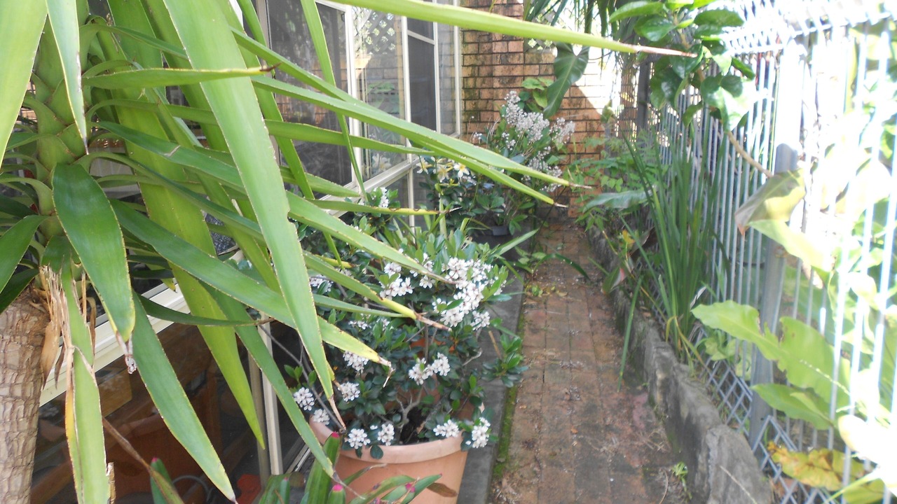 Photo of Outdoor in Freshwater