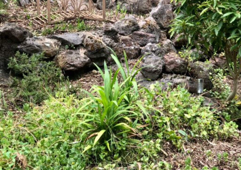 Photo of Outdoor in Don Valley