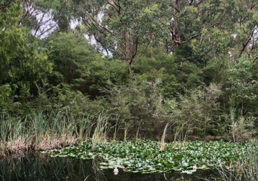 Photo of Outdoor in Don Valley