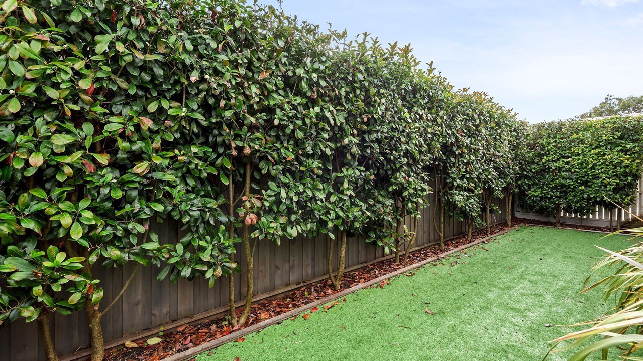 Photo of Outdoor in Point Lonsdale