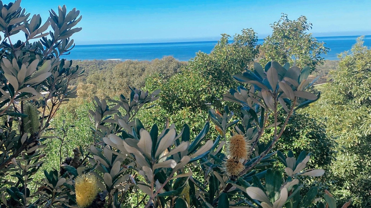 Photo of Outdoor in Lakes Entrance