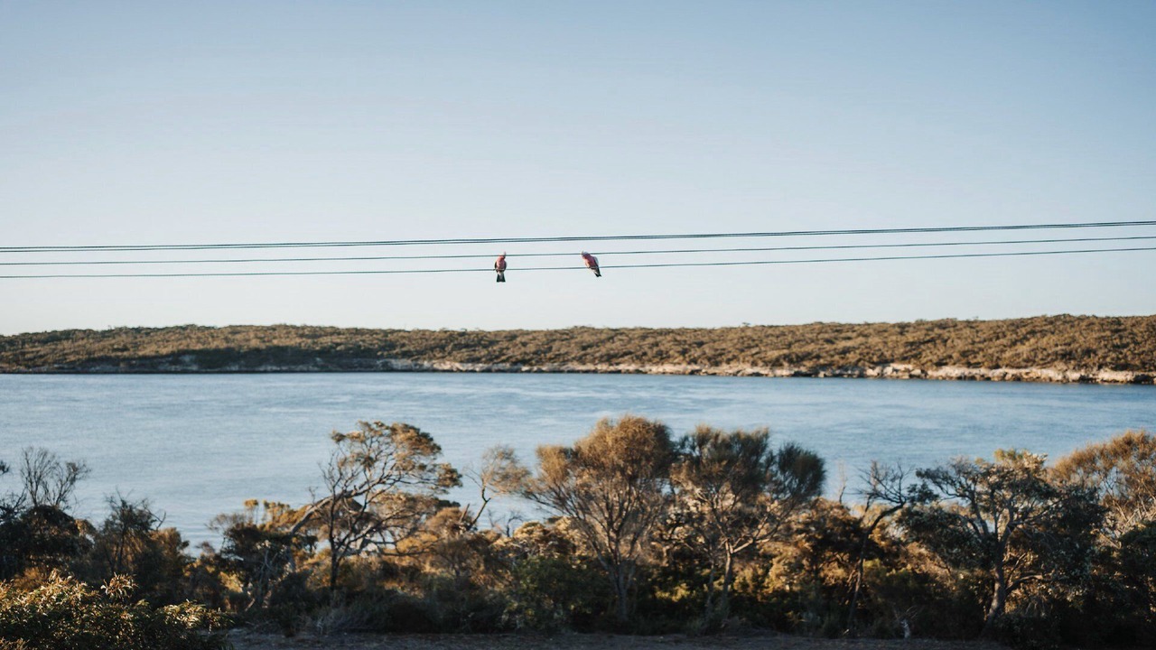 Photo of Others in Lake Wangary