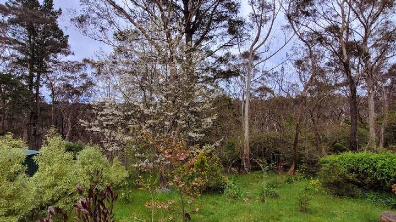 Photo of Others in Katoomba