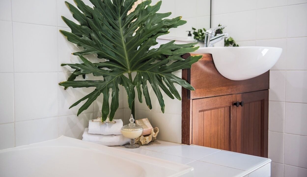 Photo of Bathroom in Airlie Beach
