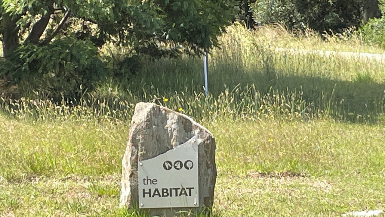 Photo of Outdoor in Metung