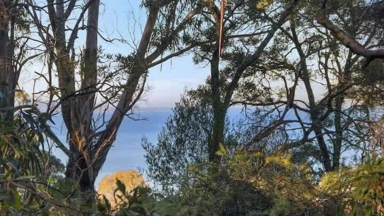 Photo of Others in Taroona
