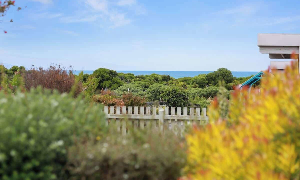 Photo of Outdoor in Apollo Bay