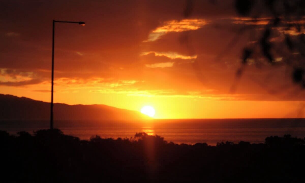 Photo of Others in Apollo Bay