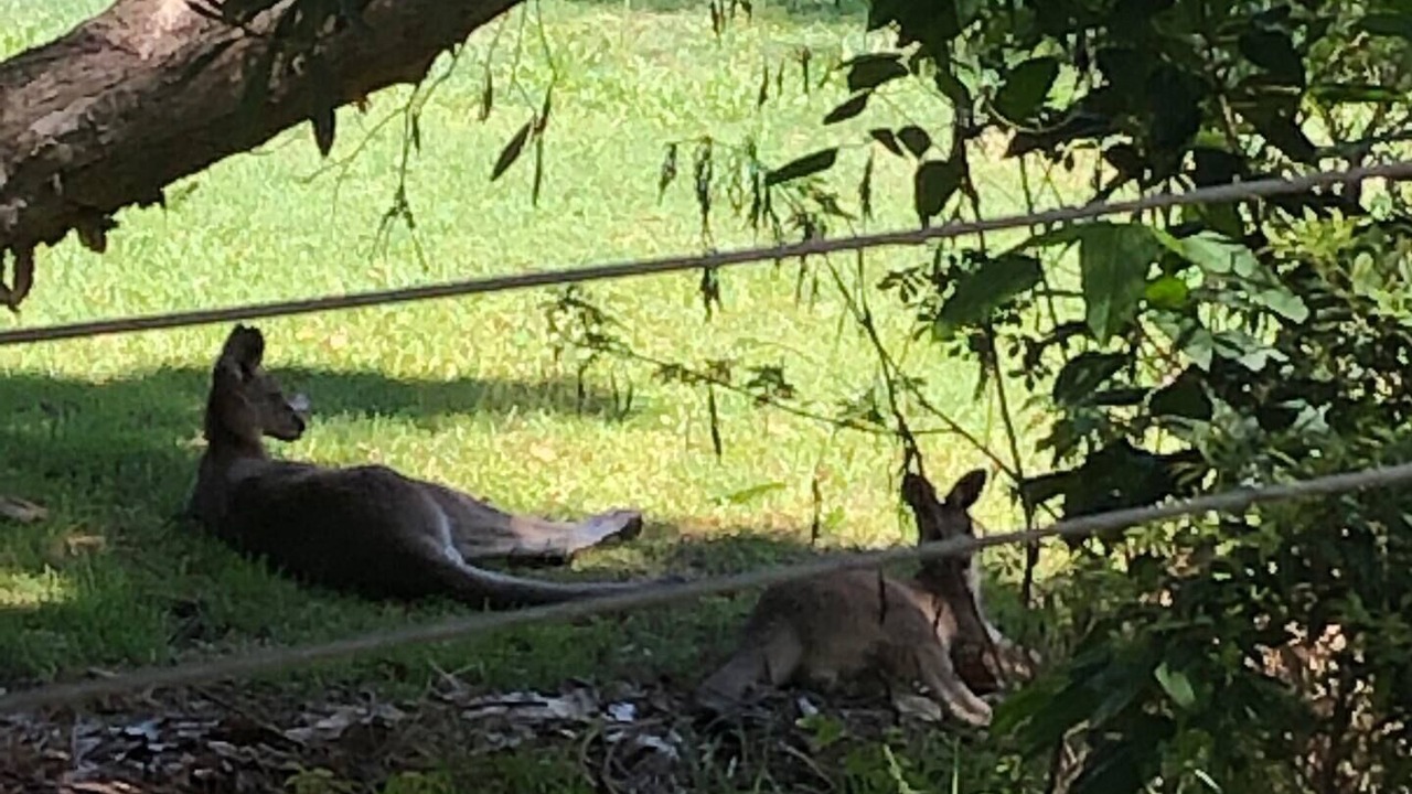 Photo of Outdoor in Yamba