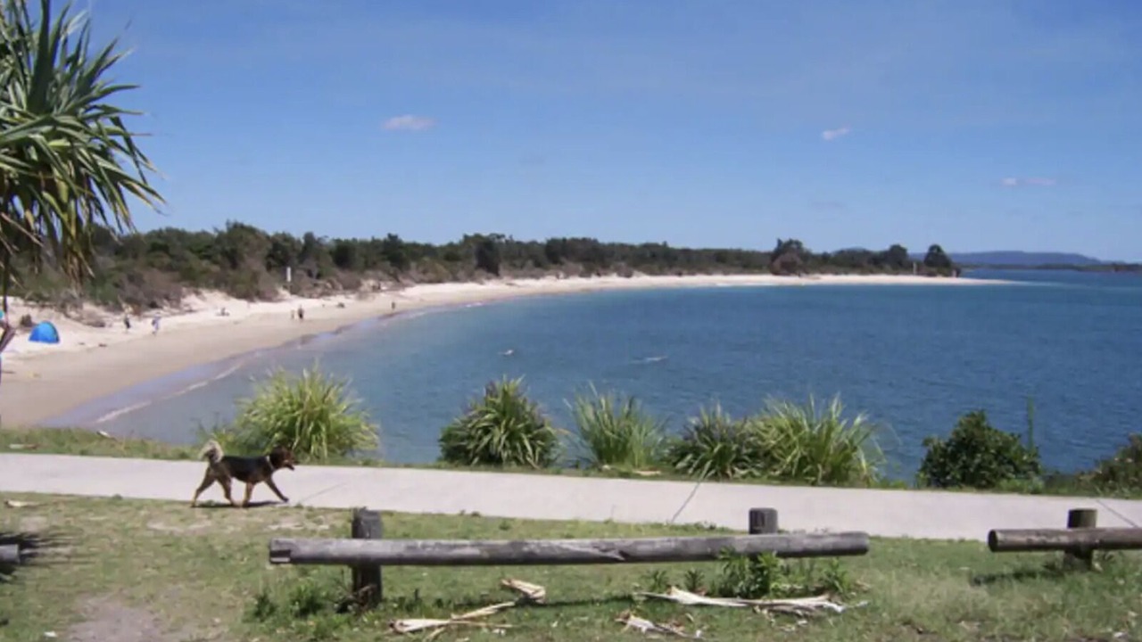 Photo of Others in Yamba