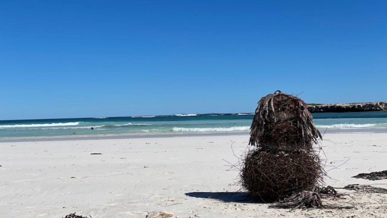 Photo of Others in Lancelin