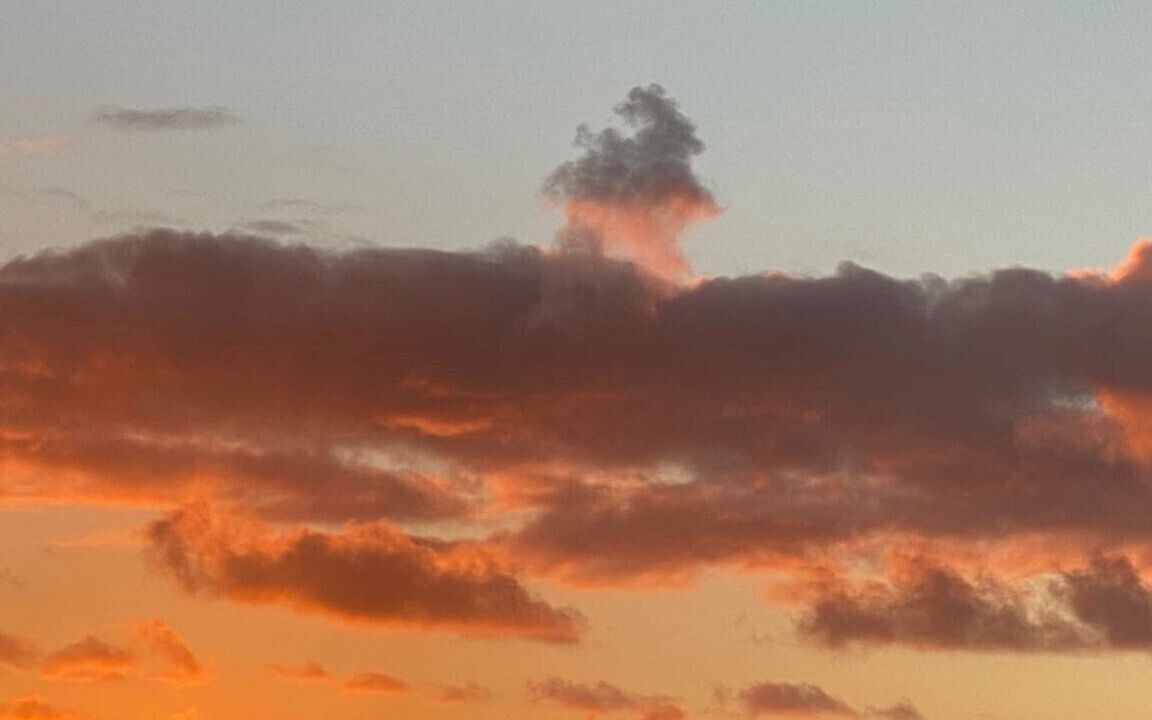 Photo of Others in Moonta Bay
