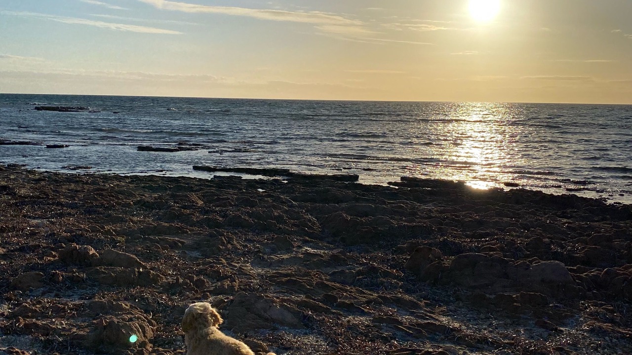 Photo of Others in Moonta Bay