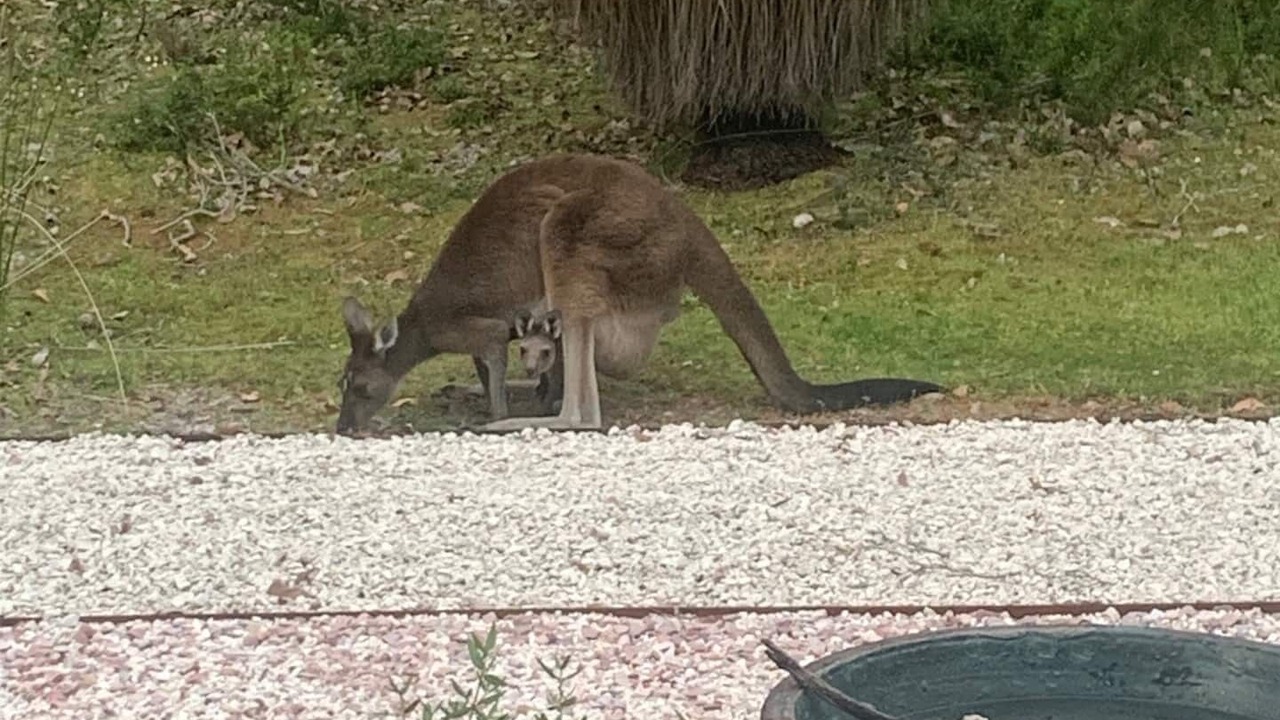 Photo of Others in Margaret River