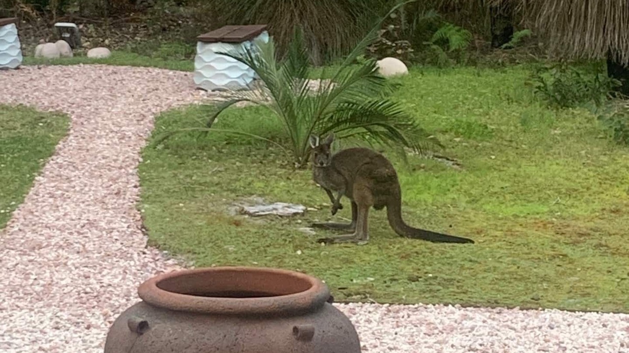 Photo of Outdoor in Margaret River