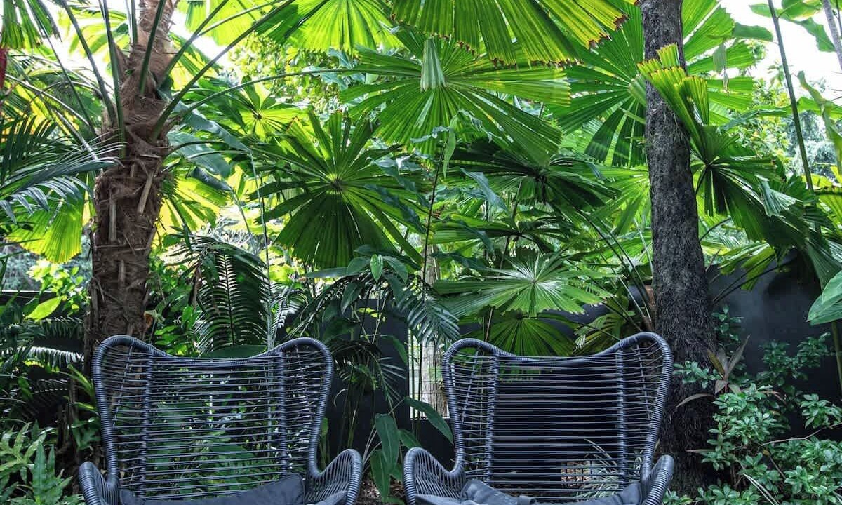 Photo of Patio Balcony in Port Douglas