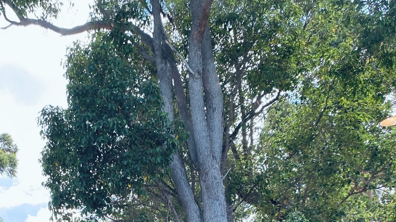 Photo of Others in Margaret River