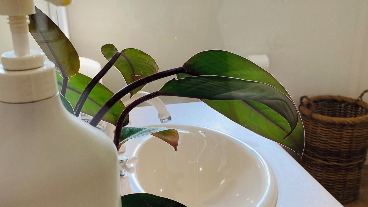 Photo of Bathroom in Margaret River