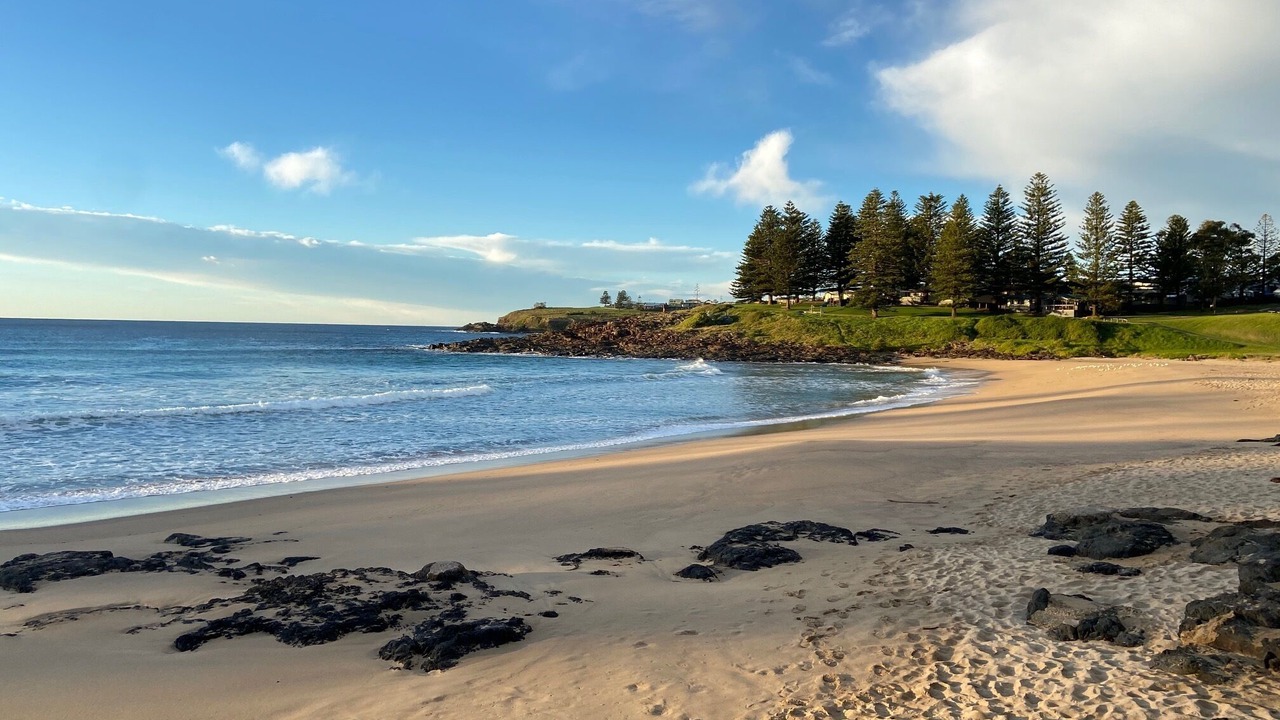 Photo of Others in Kiama