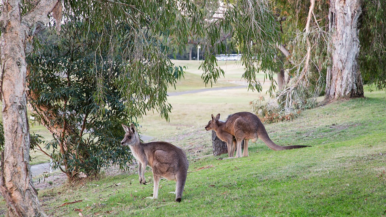 Photo of Outdoor in Salamander Bay
