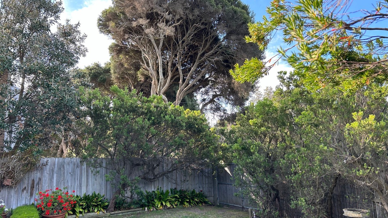 Photo of Outdoor in Point Lonsdale