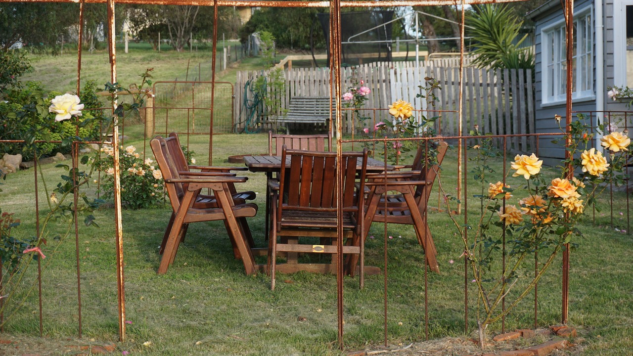 Photo of Outdoor in Swan Reach