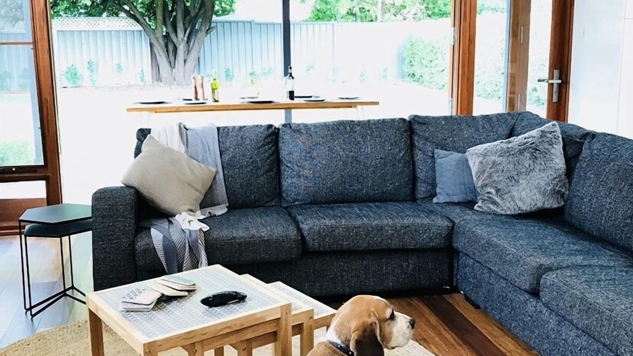 Photo of Livingroom in Orange